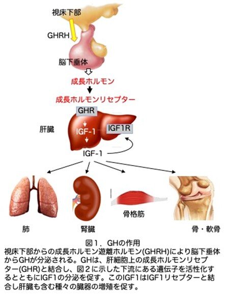 画像1.jpg