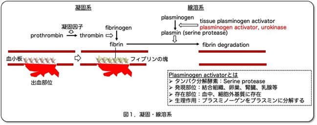 画像1.jpg