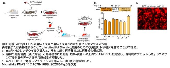 画像9.jpg