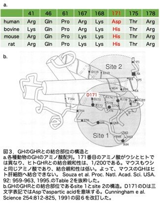 画像3.jpg