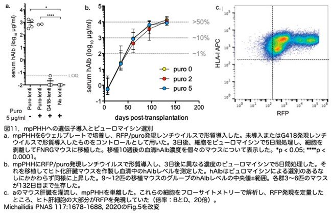 画像11.jpg