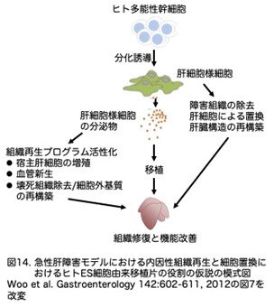 画像14.jpg