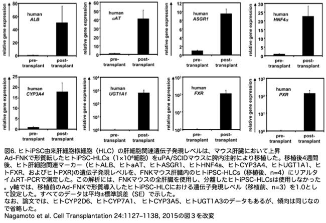 画像6.jpg