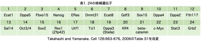 画像1.jpg