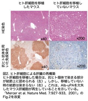 画像2.jpg