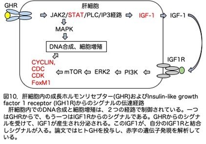 画像11.jpg