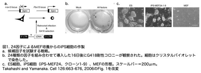 画像2.jpg