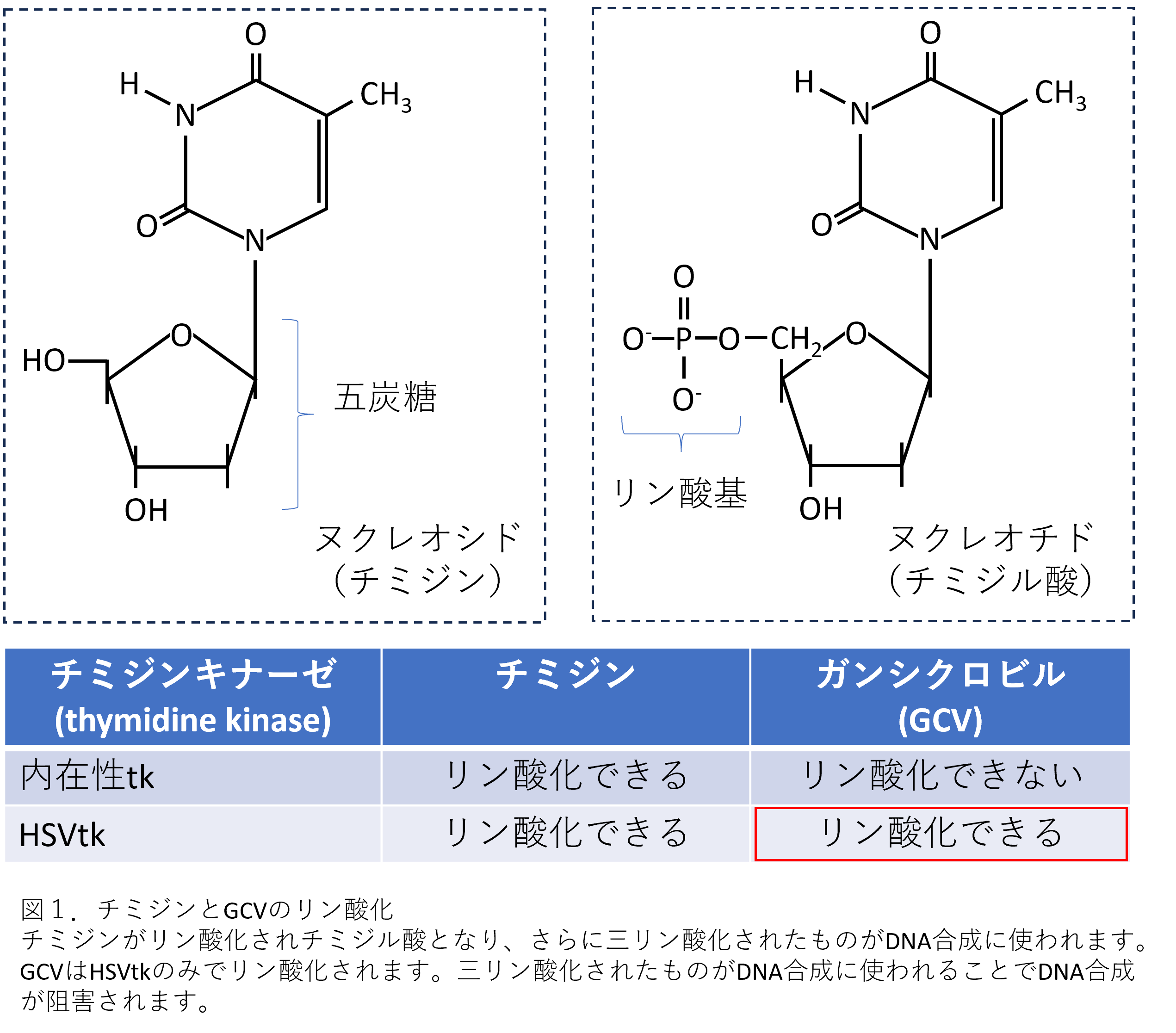 図1.png