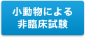 小動物による非臨床試験