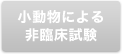 小動物による非臨床試験
