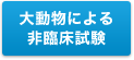 大動物による非臨床試験