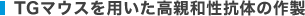 TGマウスを用いた高親和性抗体の作製