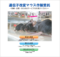 遺伝子改変マウス製作受託