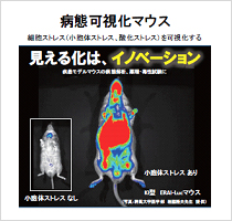病態可視化マウス